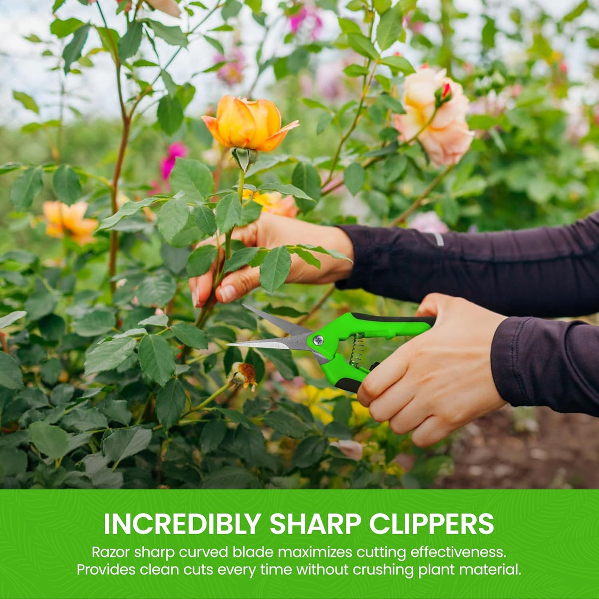 GARDEN GURU Razor Sharp Snip – Professional Garden Pruning Shears Trimmers Scissors – Super Sharp