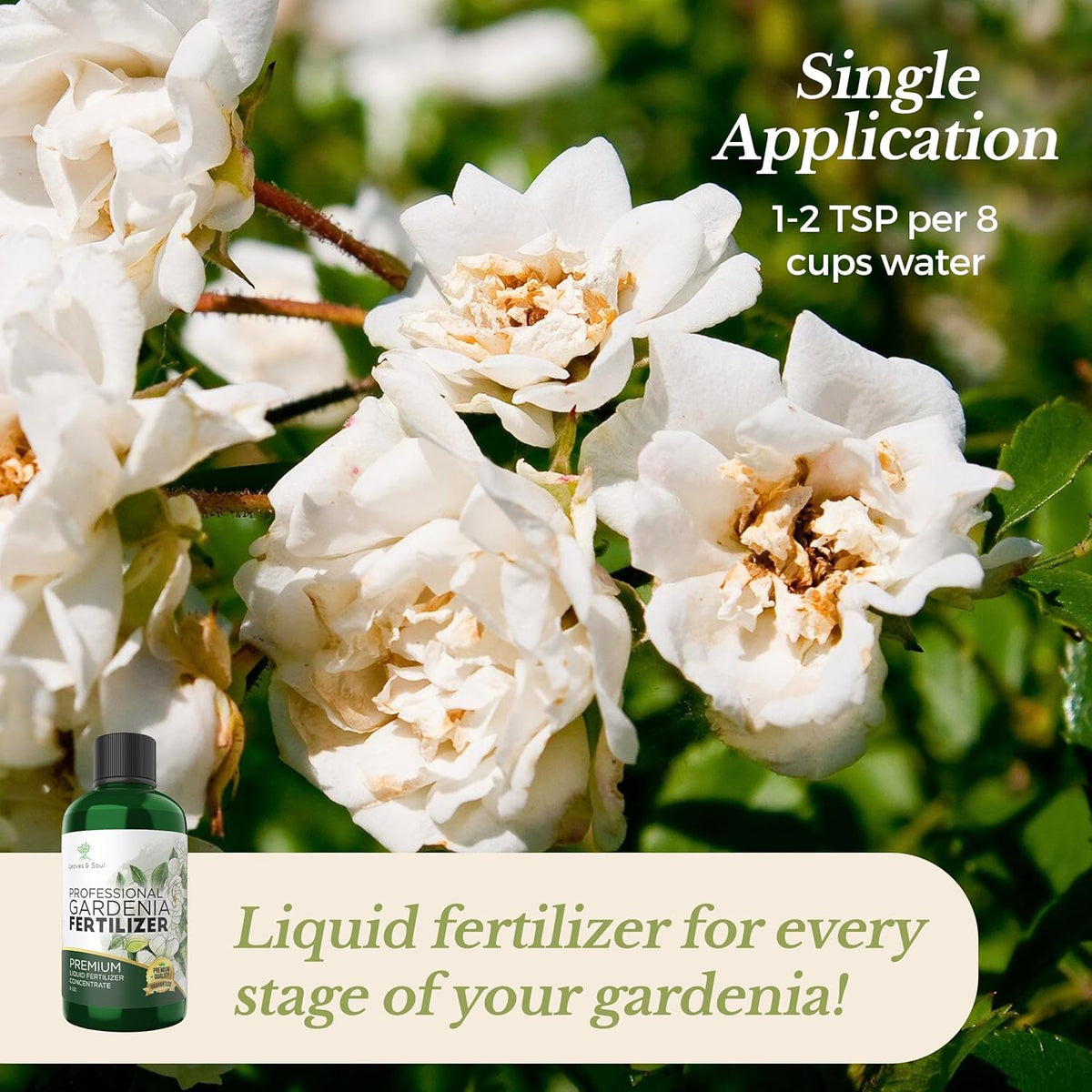 Professional Liquid Gardenia Plant Fertilizer | 3-1-2 Concentrate for Flowering Plants |