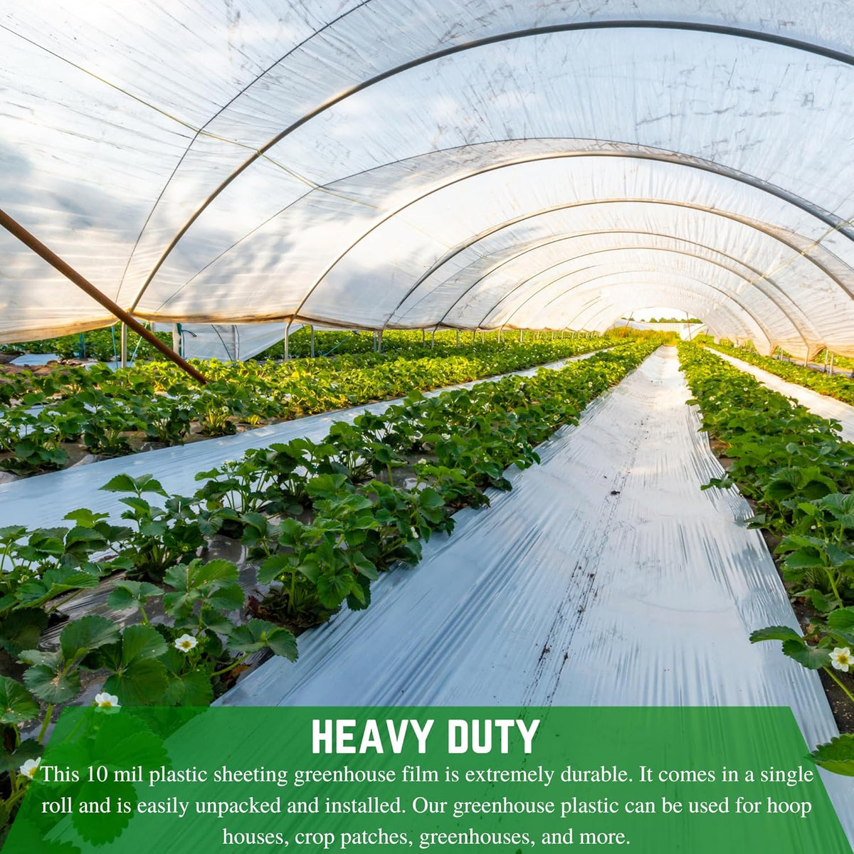 Farm Plastic Supply - String Reinforced 4 Year UV Resistant 10 mil Clear Greenhouse Plastic