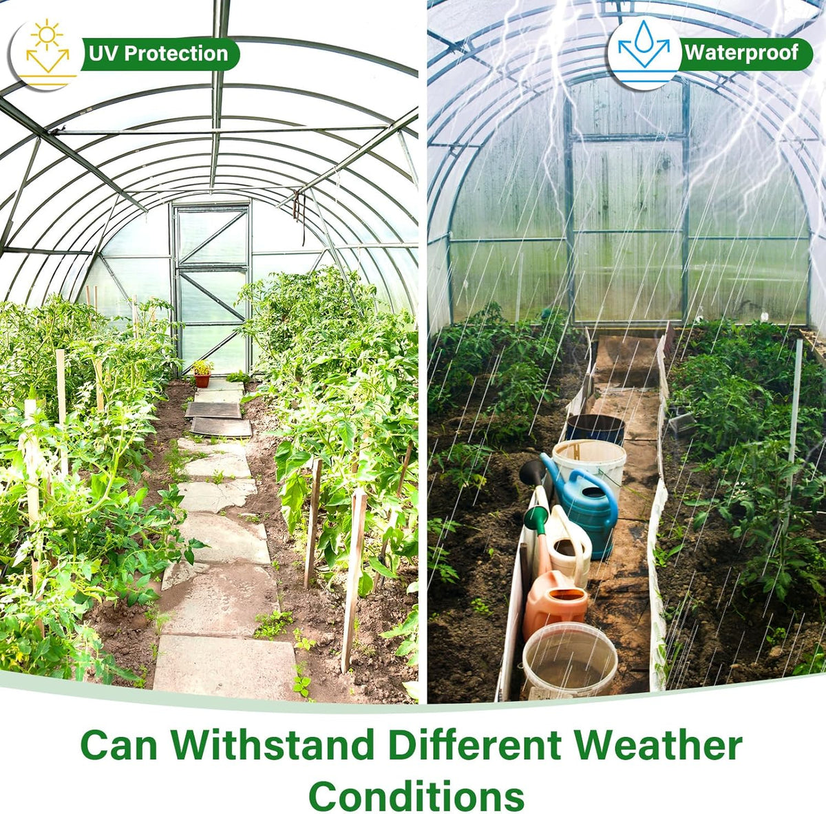 Berlune 3 Pack Clear Greenhouse Heavy Duty Tarp, 8 x 10 ft Clear Waterproof Cover, 14 Mil Plastic