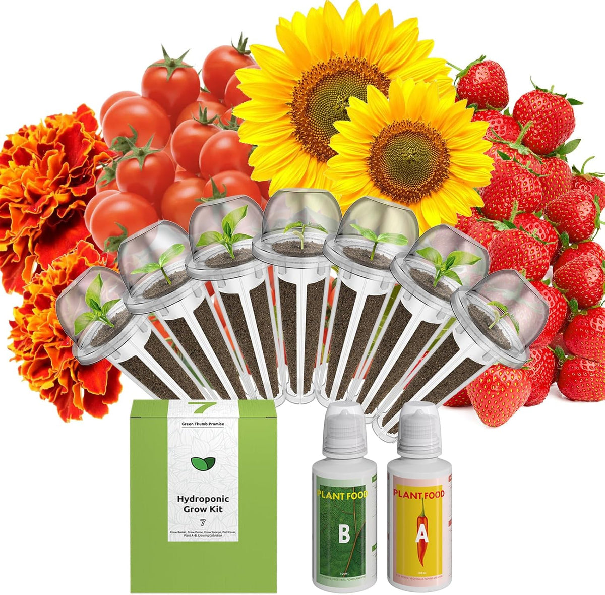 inbloom Vibrant Wildflower & Fruit Mixd Seed Pod Kit for AeroGarden, Ahopegarden Hydroponics
