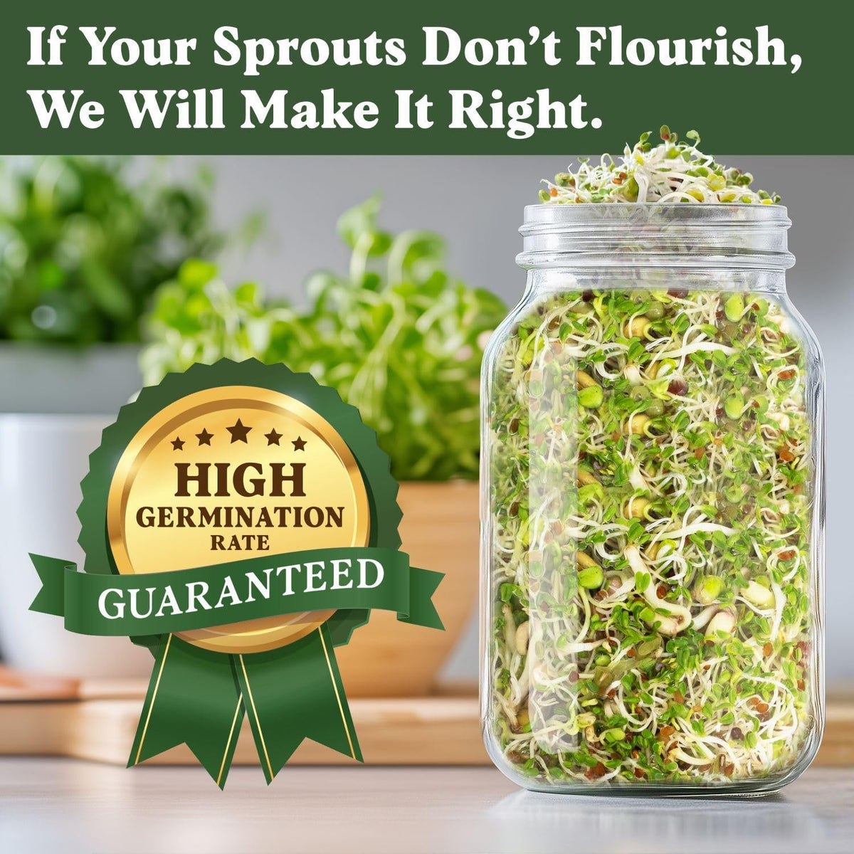 Seedboy Organic Non-GMO Sprouting Seeds, Fresh Salad Blend – USA Grown Microgreens Mix with