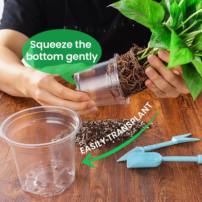 36 Packs 6.7/5/4/3.5 Inch Reinforced Clear Nursery Pots with Drainage Hole, Transparent Variety
