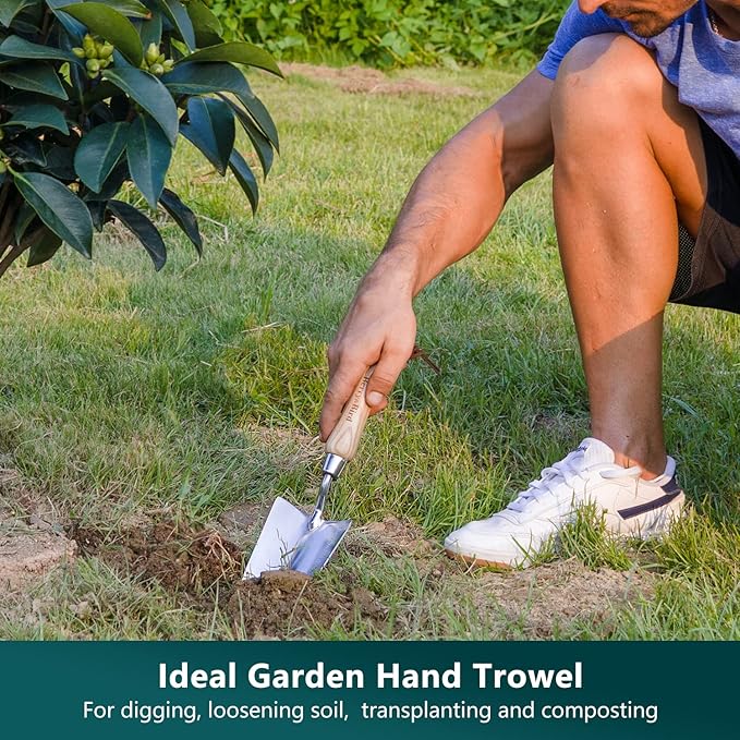Berry&Bird Garden Tool Set- 3PCS Stainless Steel Gardening Tool Sets with Wooden Handle Trowel