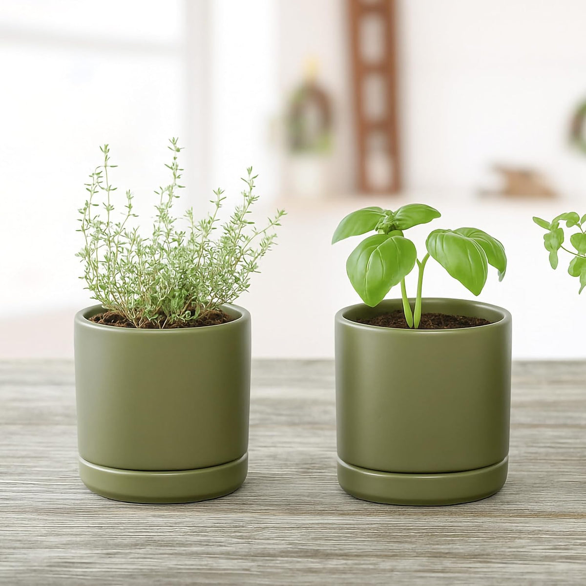 D'vine Dev 3.5 Inch Ceramic Planter Pot with Drainage Hole and Saucer, Indoor Cylinder Round