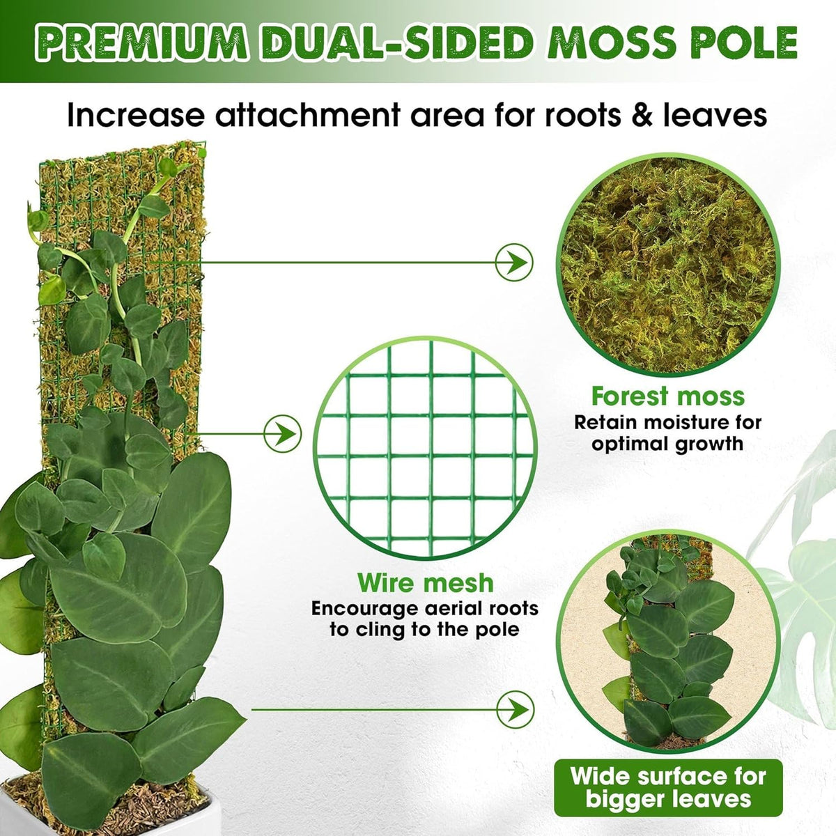 DUSPRO Flat Mesh Moss Poles for Climbing Plants Monstera Stackable Moss Pole for Plants with Real