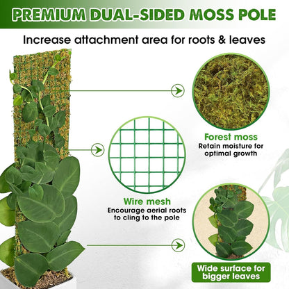 DUSPRO Flat Mesh Moss Poles for Climbing Plants Monstera Stackable Moss Pole for Plants with Real