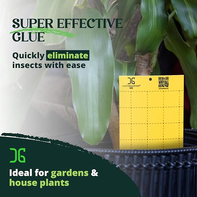 Catchmaster GRO Yellow Large Double Sided Sticky Traps 50PK, Adhesive Bug & Fruit Fly Trap, Pest