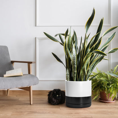 D'vine Dev 12 Inch Ceramic Planter Pot with Drainage Hole and Saucer, Indoor Cylinder Round Planter