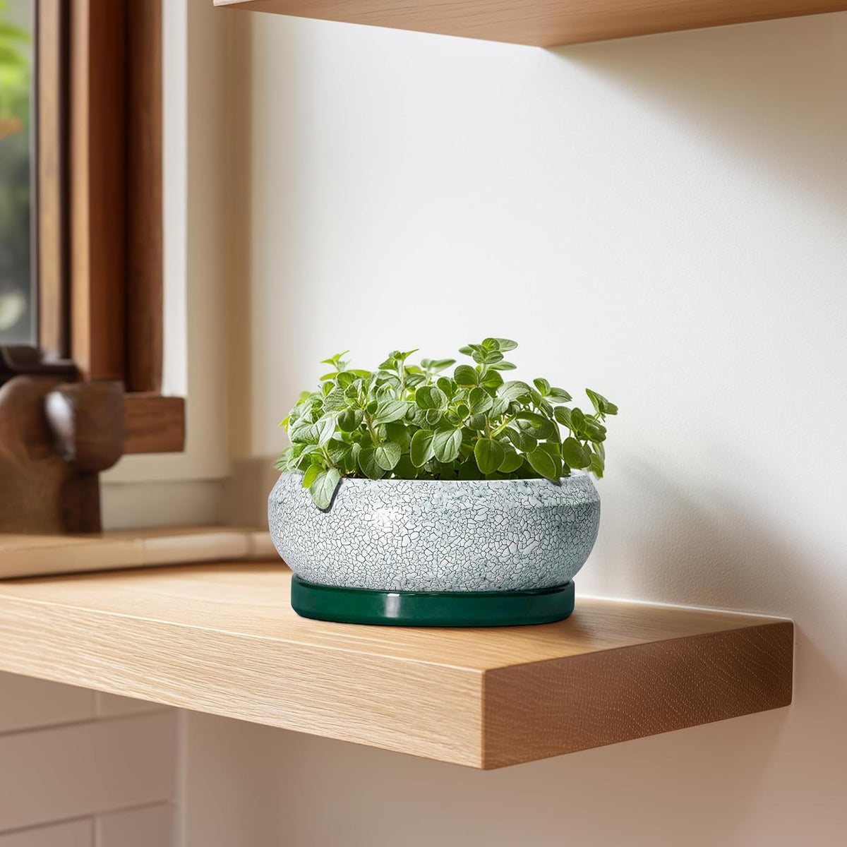 Succulent Pots - 6 Inch Ceramic Pots for Succulent Indoor Outdoor, Small Plant Pot with Drainage