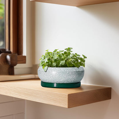 Succulent Pots - 6 Inch Ceramic Pots for Succulent Indoor Outdoor, Small Plant Pot with Drainage