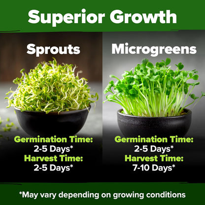HOME GROWN Alfalfa Sprouting Seeds - Non-GMO USA-Sourced Heirloom Bulk Sprout Seed for Microgreens