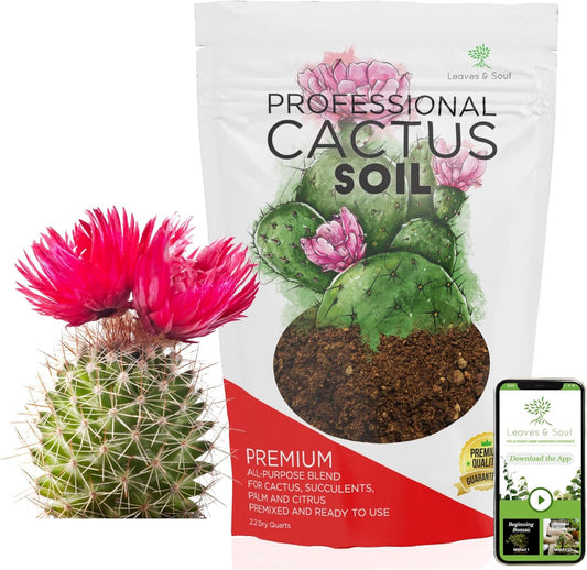 Professional Cactus Soil | Large 2.2 Quarts Ready to Use for Cactus Plants | Peat Moss, Coco Coir