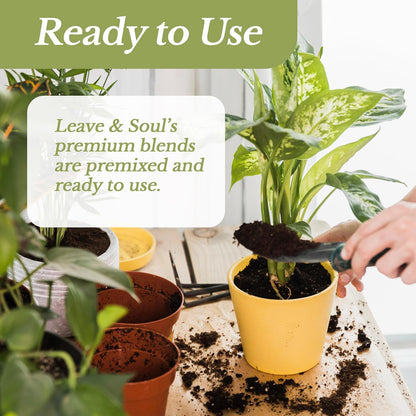 Extra Large 8.2 QT Bag Succulent Soil Premium All Purpose Blend | Pre-Mixed Ready to Use for Cactus