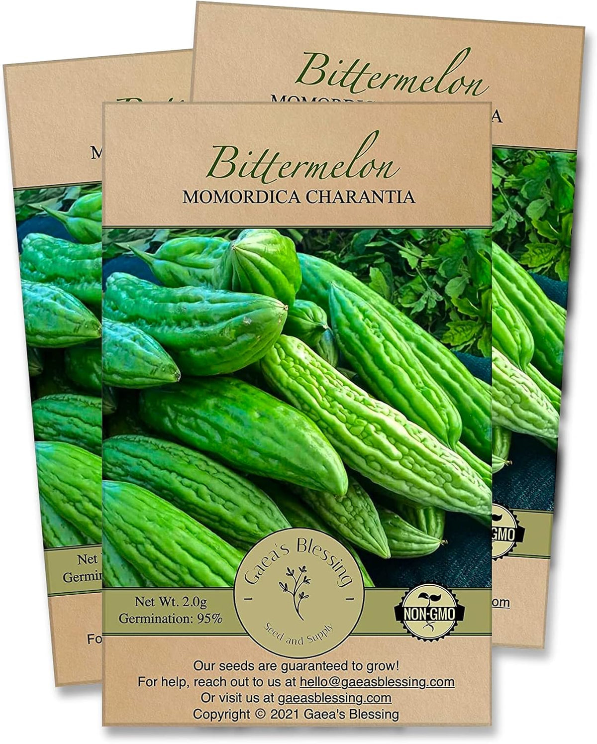 Gaea's Blessing Seeds - Bitter Melon Seeds - Bitter Gourd Heirloom Non-GMO Bittermelon Seeds with