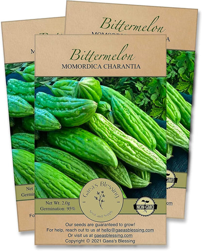 Gaea's Blessing Seeds - Bitter Melon Seeds - Bitter Gourd Heirloom Non-GMO Bittermelon Seeds with