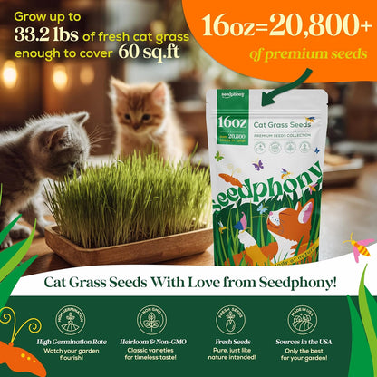 Cat Grass Seed Mix – 16 oz Pack with 20,500 Non-GMO Heirloom Seeds for Cats, Barley, Oat, Rye &