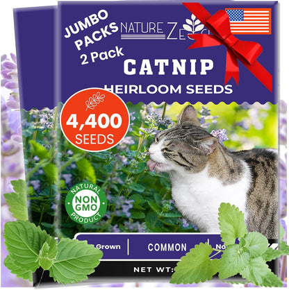 NatureZ Edge Catnip Seeds for Planting, 2.6 Grams, 4400+ Herb Seeds, Indoor or Outdoor Growing