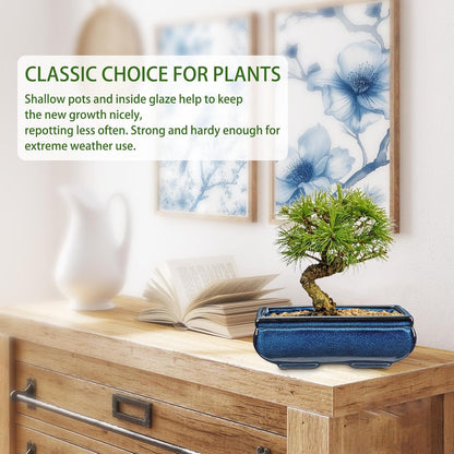 Set of 2 Blue Glazed Ceramic Bonsai Pots, 9.8" & 7.4" Rectangular Bonsai Pots Planters with