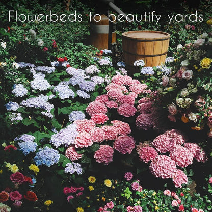 Gardeners Basics, Flower Seeds Packets for Planting 35 Individual Varieties Perennial, Annual