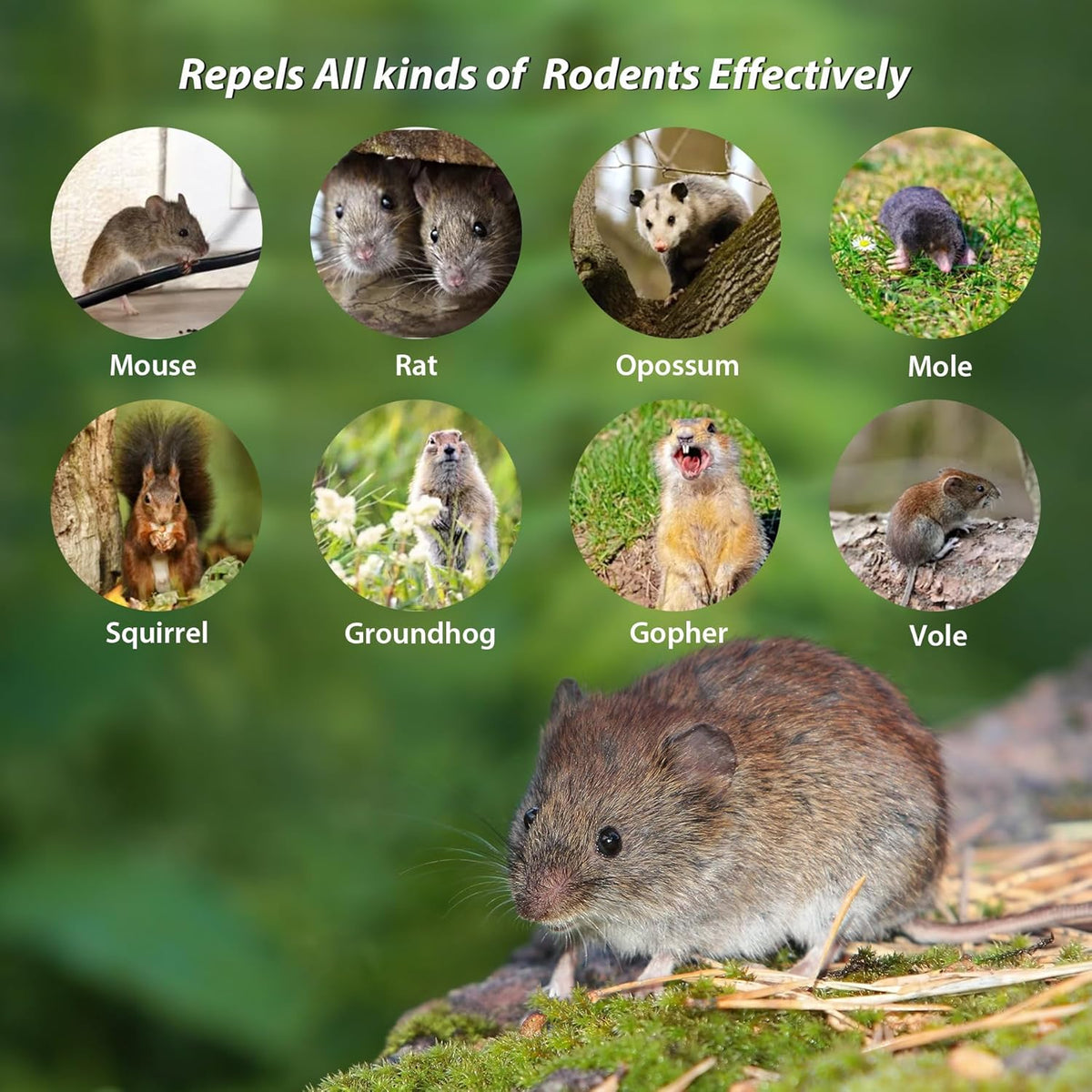 Rodent Repellent Balls,10Pcs Mouse Repellent Balls Peppermint Oil for Mice Squirrel Mole Pests