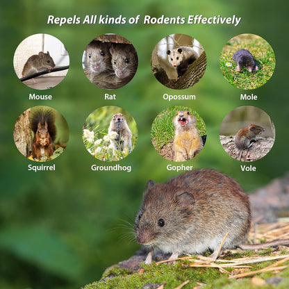Rodent Repellent Balls,10Pcs Mouse Repellent Balls Peppermint Oil for Mice Squirrel Mole Pests