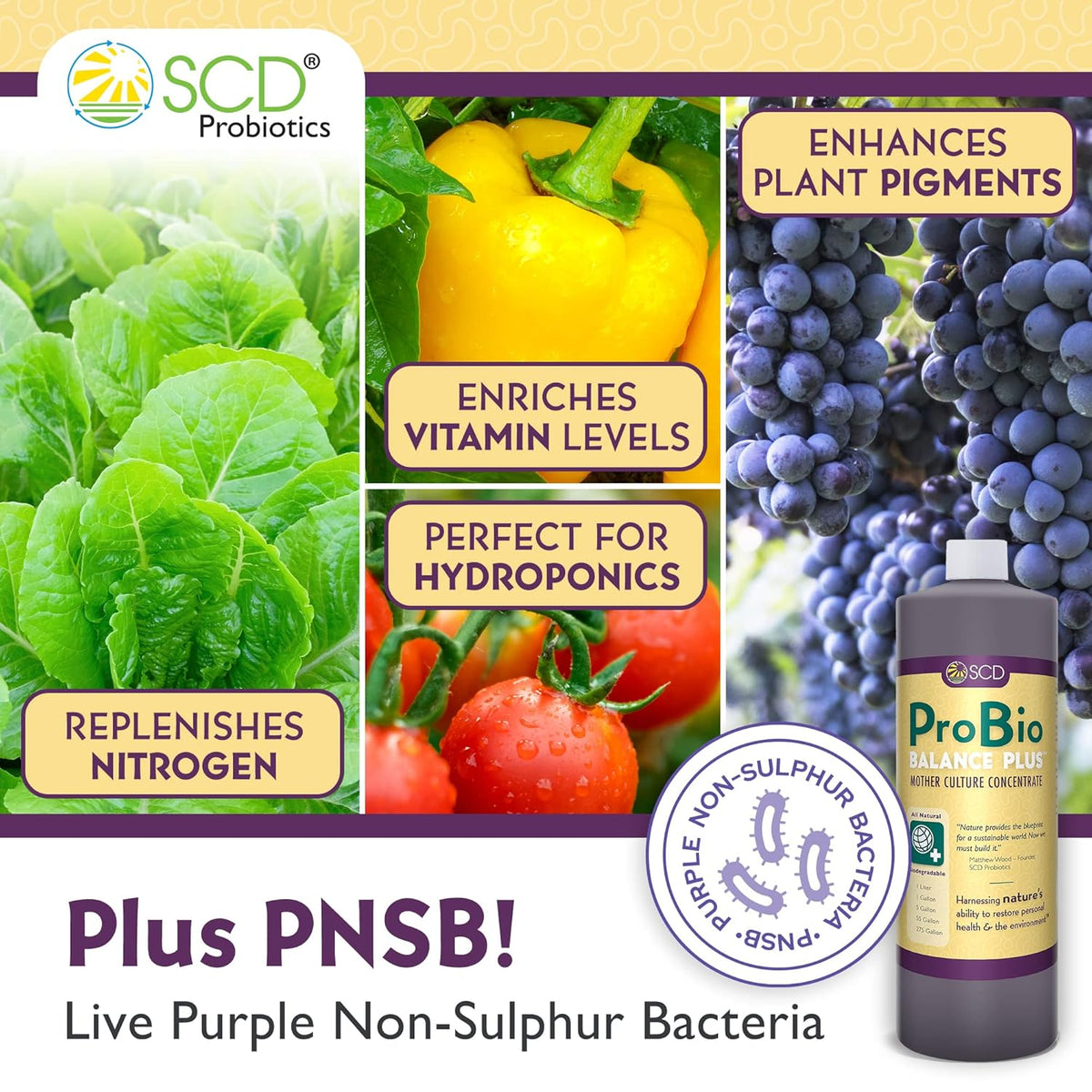 SCD Probiotics ProBio Balance Plus - Make 20X More Soil Conditioner - Super Concentrate Of