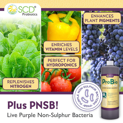 SCD Probiotics ProBio Balance Plus - Make 20X More Soil Conditioner - Super Concentrate Of