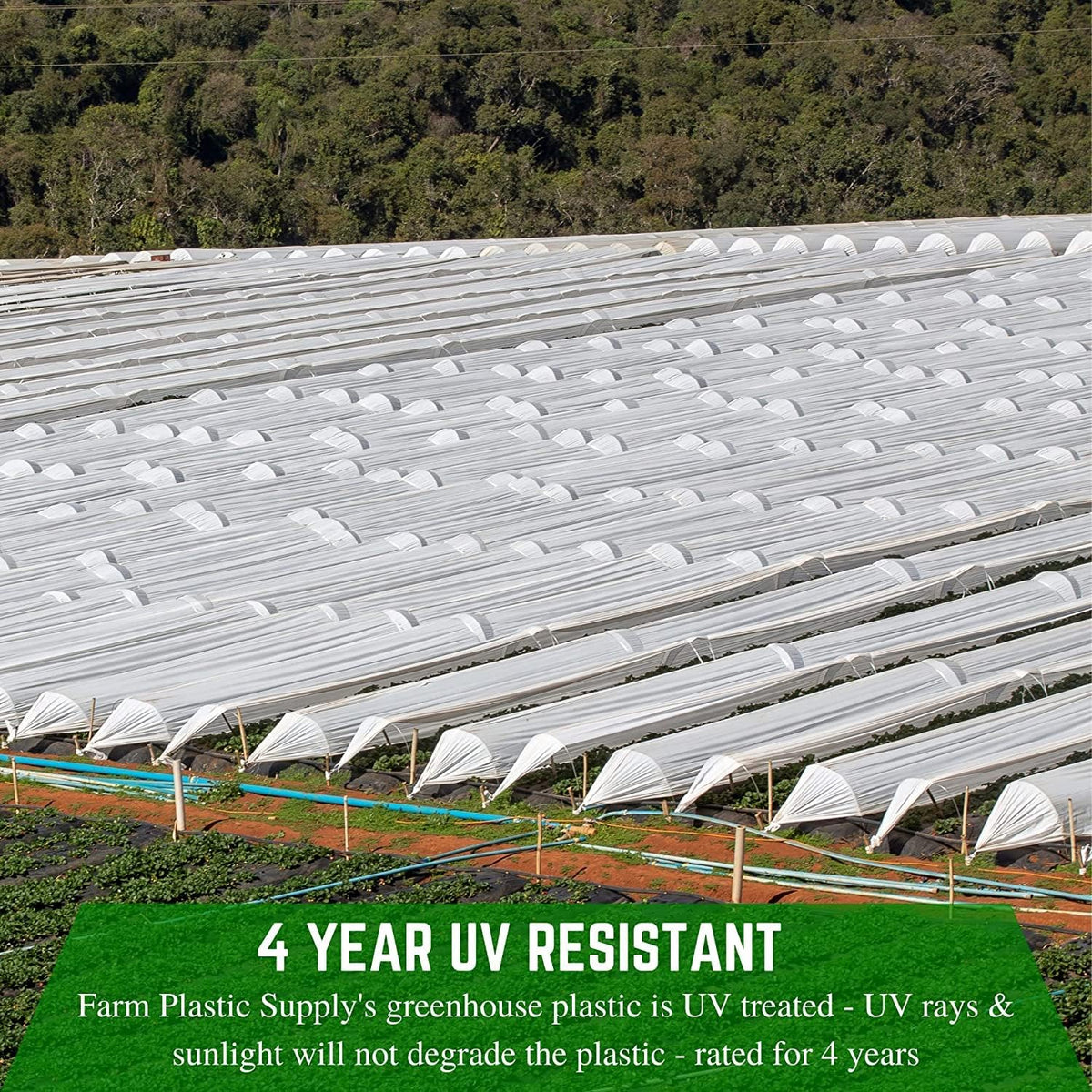Farm Plastic Supply - White Greenhouse Plastic Sheeting - 6 mil - (32' x 100') - 4 Year UV