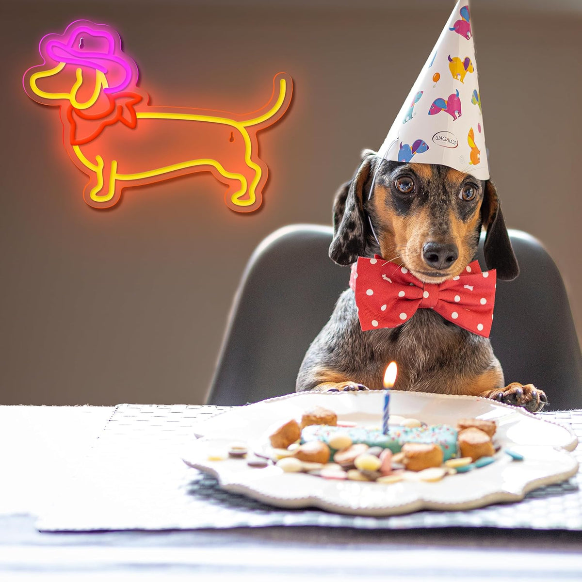 Dachshund Neon Sign Dog Neon Signs for Wall Decor Cute Puppy with Cowboy Hat Led Light Sign for Pet