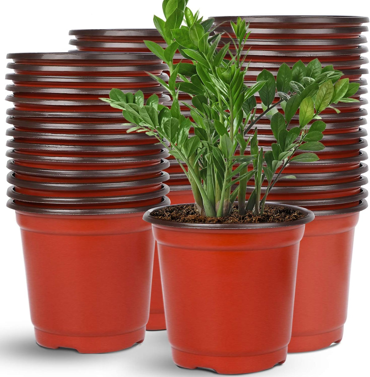 Augshy 110 Pcs 6" Plastic Plants Nursery Pot, Seed Starting Pots for Succulent Seedling Cutting