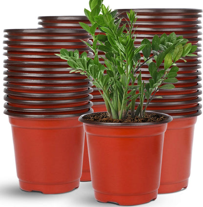 Augshy 110 Pcs 6" Plastic Plants Nursery Pot, Seed Starting Pots for Succulent Seedling Cutting