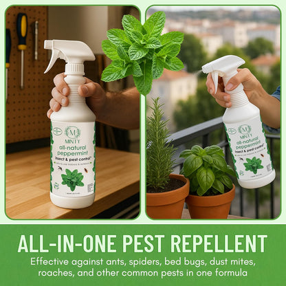 Minty Insect & Pest Control, Powerful & Natural 5% Peppermint Oil Spray for Ants, Spiders, Bed