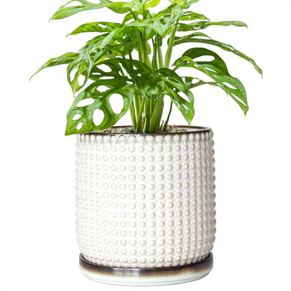 D'vine Dev 6 Inch Ceramic Beaded Stoneware Planter Pot - Flower Pot with Drainage Holes and Saucers