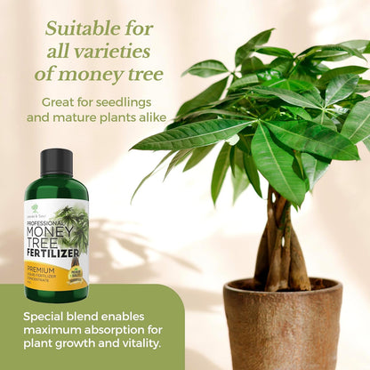 Professional Liquid Money Tree Fertilizer | 3-1-2 Concentrate for Plants and Flowers |