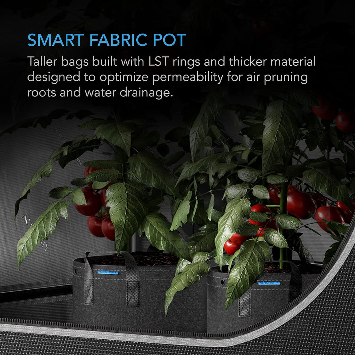 AC Infinity Heavy Duty Fabric Pots, 3 Gallon Aeration Reusable Grow Bags 5-Pack with 500G Thick