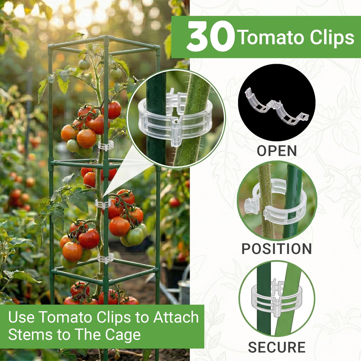 Tomato Cage Square - Large Trellis Stakes and Plant Support Structures for Vegetables and Climbing