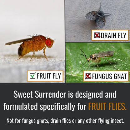 Dr. Killigan’s Fruit Fly Refill Liquid - Long-Lasting 24-Week Protection, Works with Apple Traps