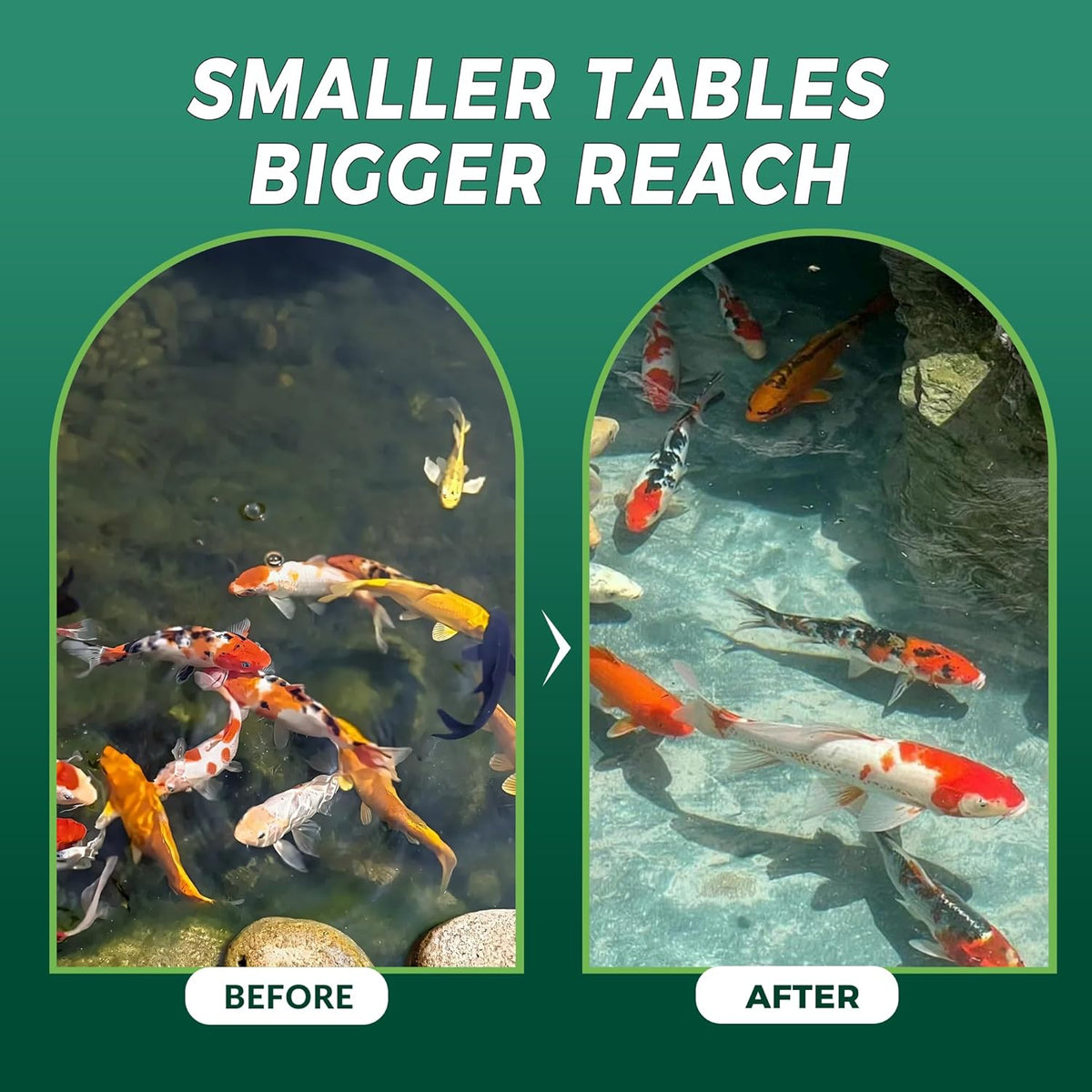 Muck Clear – Natural Pond Sludge Treatment, 500 Tablets for Ponds, Fountains & Bird Baths