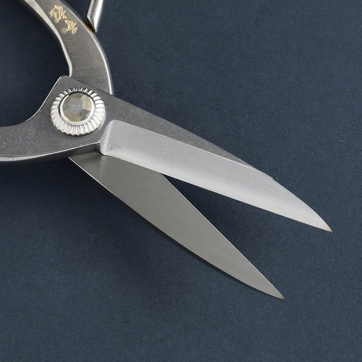 Wazakura Yasugi Stainless Steel Made in Japan Traditional Bonsai Scissors 7 in (180 mm), Pruning