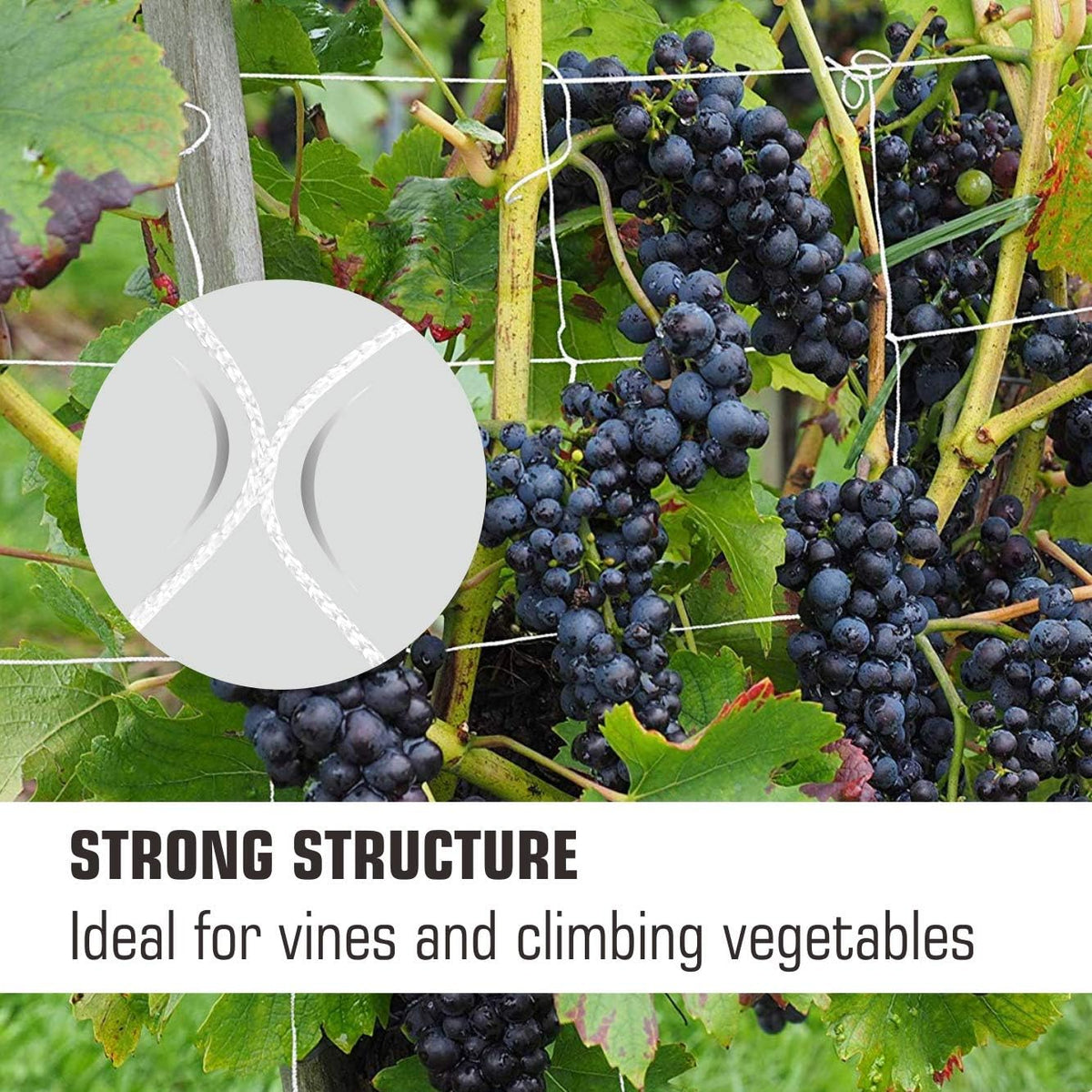 5x350ft Garden Trellis Netting - Heavy-Duty Polyester Outdoor Plant Support Netting for Climbing