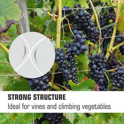 5x350ft Garden Trellis Netting - Heavy-Duty Polyester Outdoor Plant Support Netting for Climbing