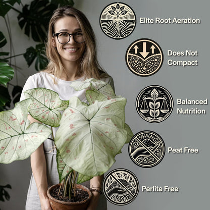 Craft Aroid Potting Mix- Elite Organic Alocasia, Philodendron, Monstera Soil Mix, Chunky, Well