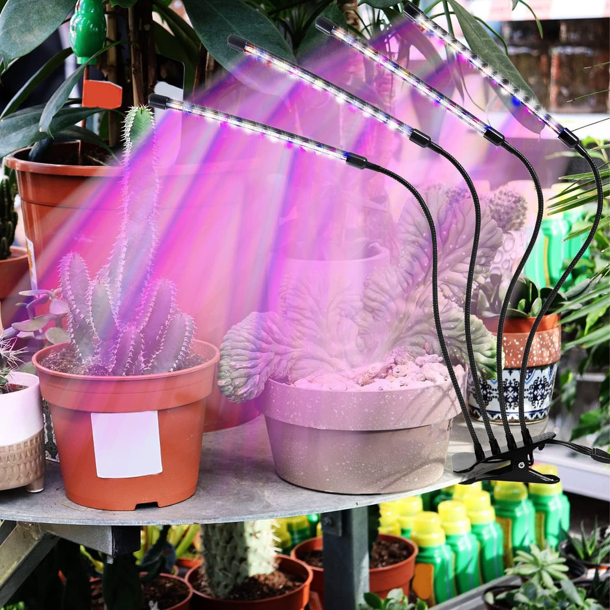 LEOTER Grow Light for Indoor Plants - Upgraded Version 80 LED Lamps with Full Spectrum & Red Blue