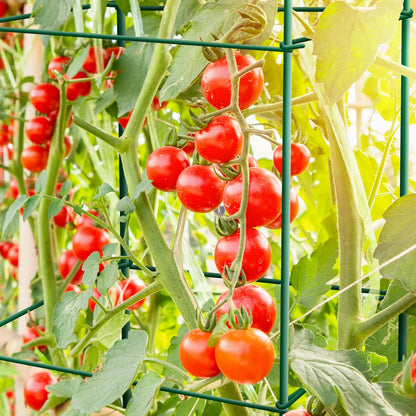 Tomato Cages 6 Packs 46 Inches (H) Plant Stand with 164 Feet Twist Ties, Heavy Duty Garden Plants