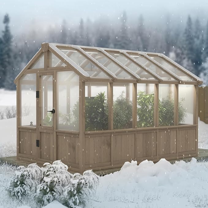 BlueWish 6x10FT Greenhouse, Greenhouses for Outside with Cedar Frame, Wood Greenhouse with