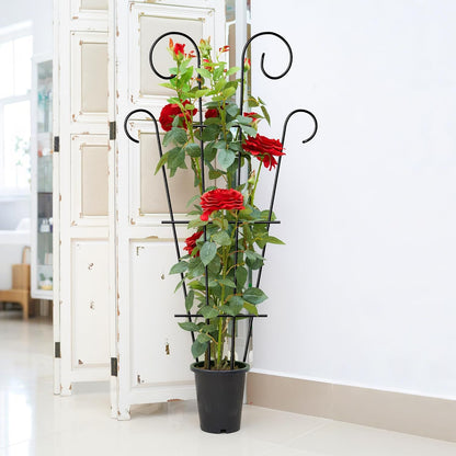 4 Pack 43'' Indoor Plant Trellis for Potted Plants Climbing, Outdoor Metal Garden Trellis