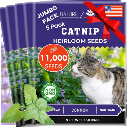 NatureZ Edge Catnip Seeds for Planting, 6.5 Grams, 11,000+ Herb Seeds, Indoor or Outdoor Growing