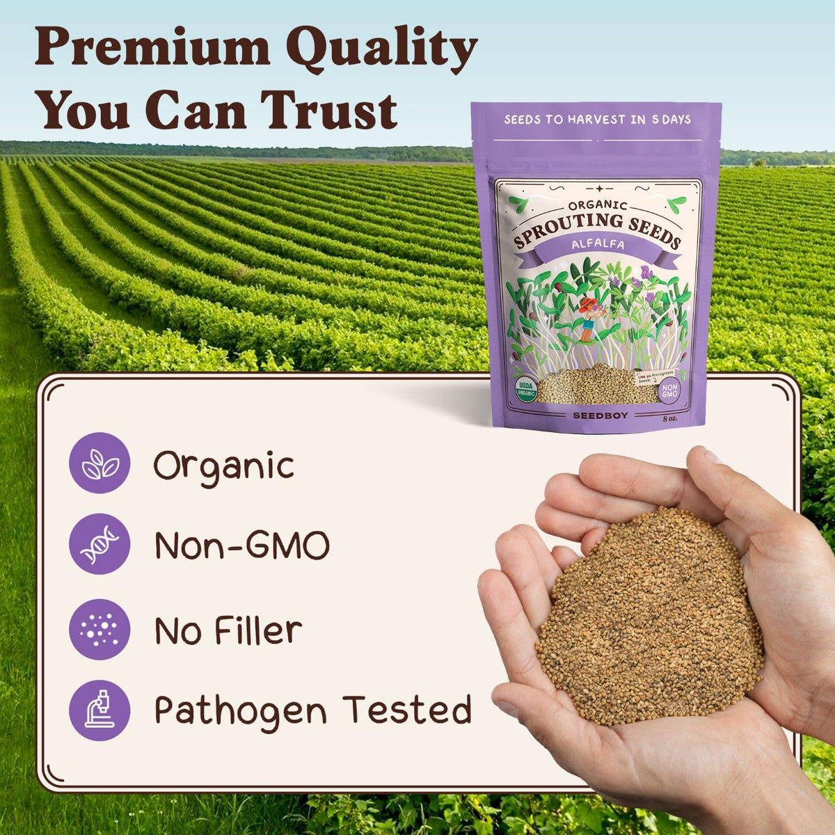 Seedboy Organic Non-GMO Alfalfa Seeds for Sprouting - Microgreens Sprouting Seeds - 8 oz Bag Makes