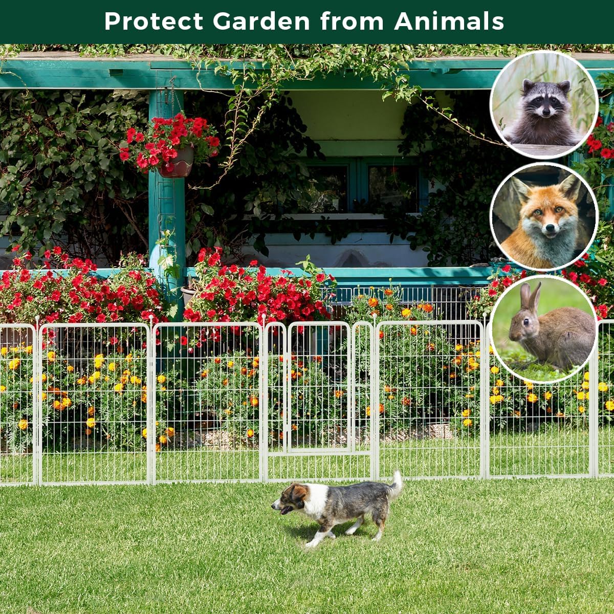 FXW Garden Fence Outdoor for The Yard – 40in(H) x 36.4ft(L) Heavy Duty Metal Animal Barrier for Dog